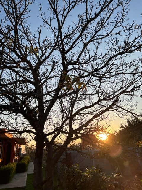 Sobrevivir a otro invierno
