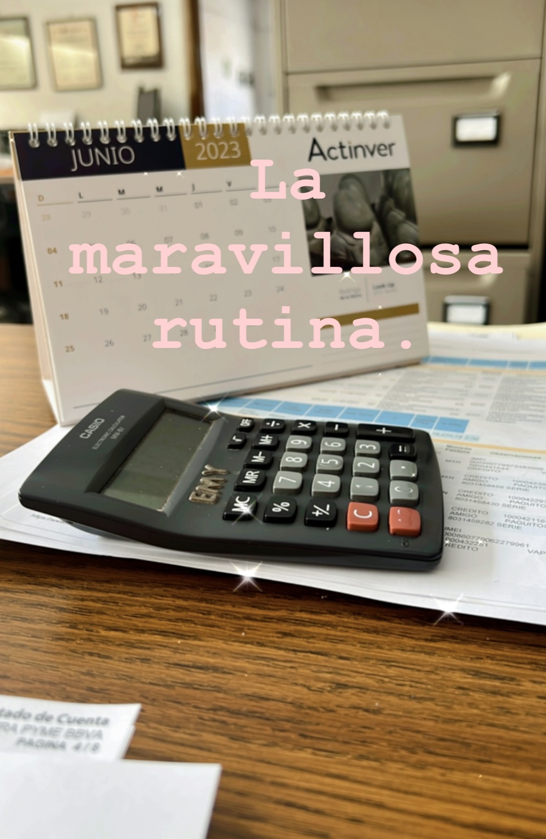 LA MARAVILLOSA RUTINA.