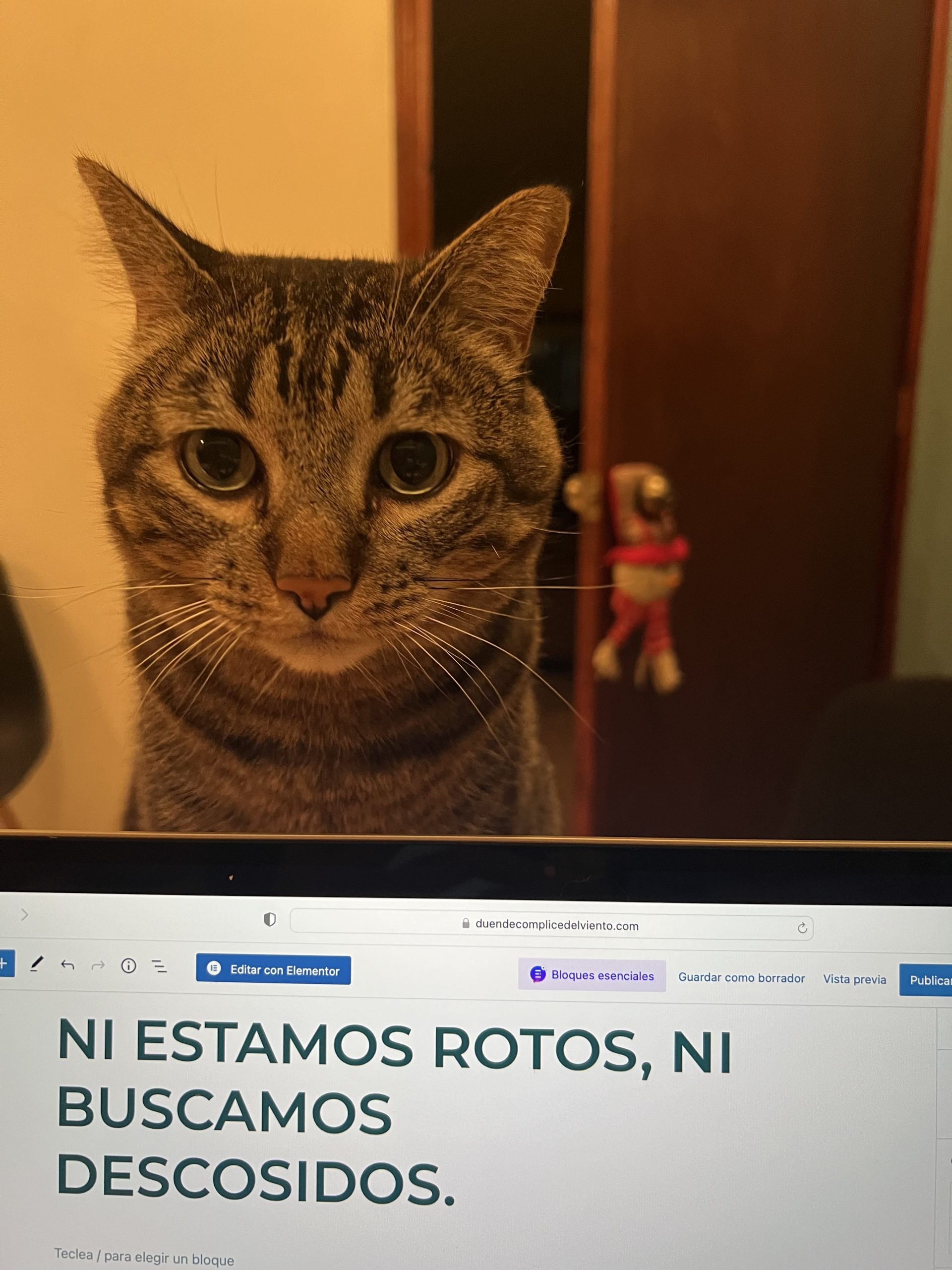 NI ESTAMOS ROTOS, NI BUSCAMOS DESCOSIDOS.